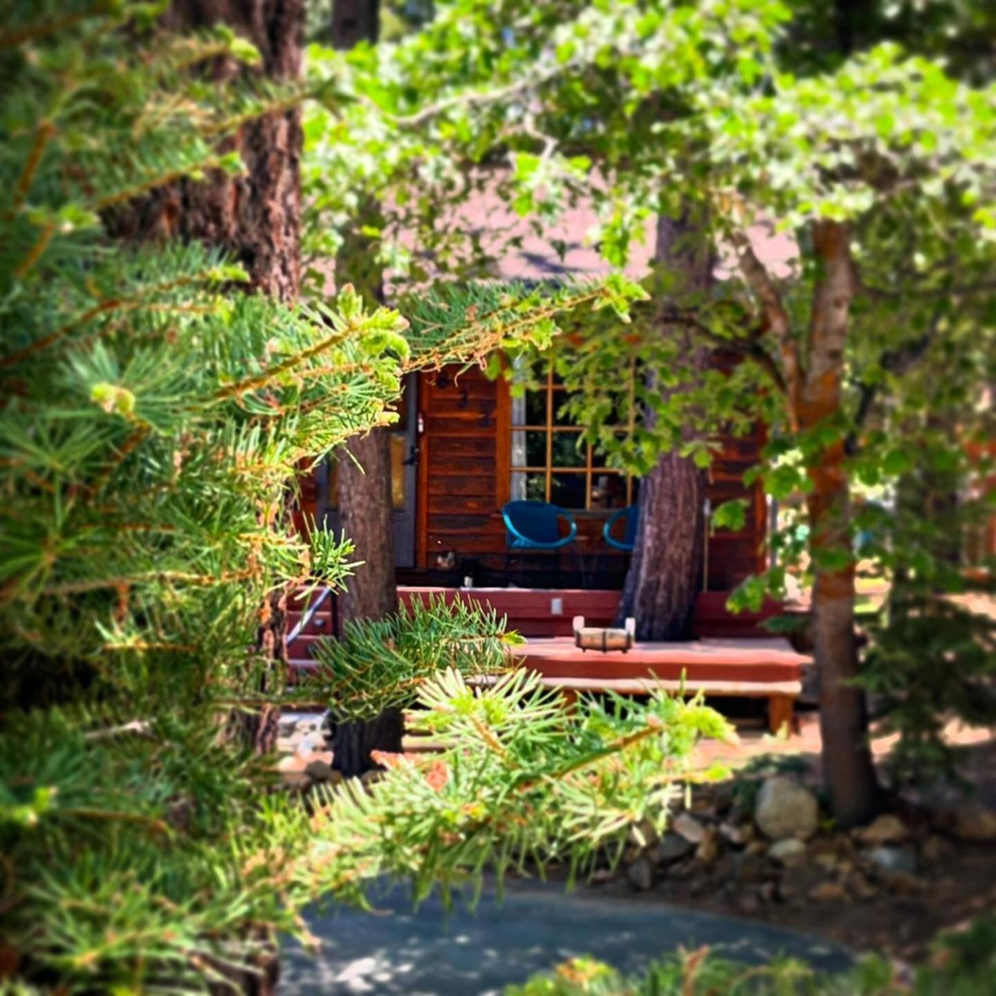 Вилла The Nest On Towne Trail - Hot Tub, Bbq, Fire Pit Биг Бэар Лейк Экстерьер фото